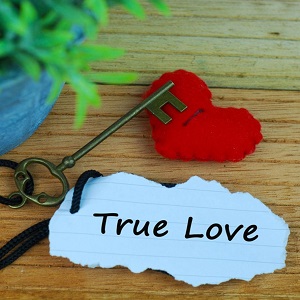 Find True Love